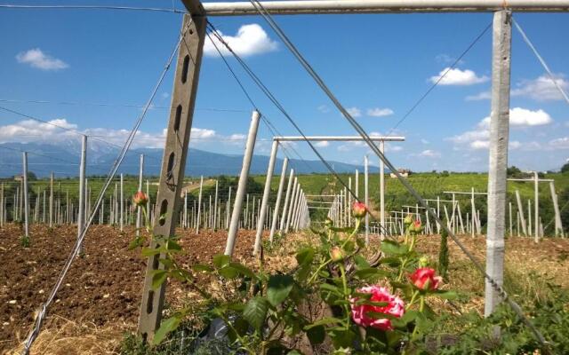 Casa Dell'Arciprete B&B