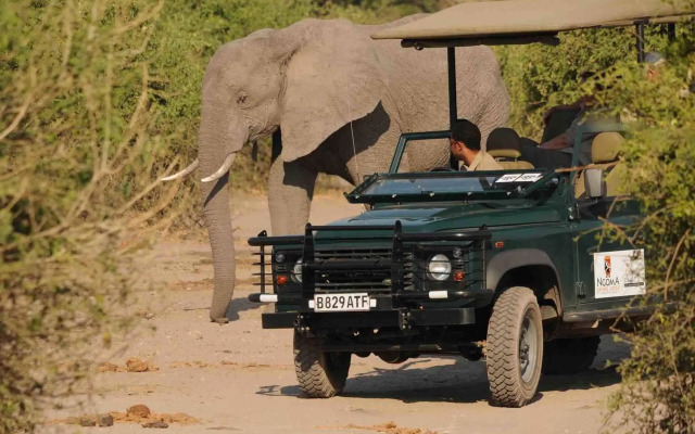 Ngoma Safari Lodge