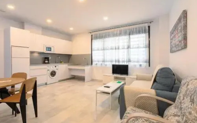 Apartamentos Guerrero 3