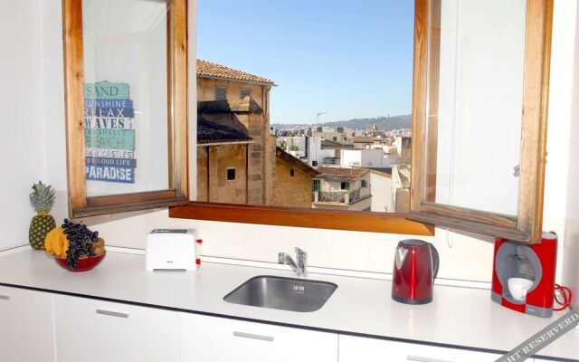 Sant Miquel Homes Penthouse