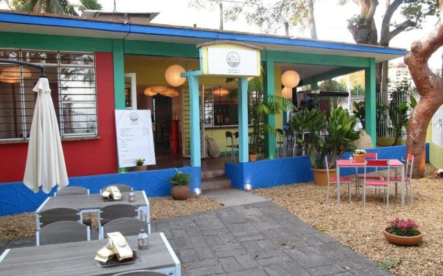 Casa del Café Oro de Los Tuxtlas