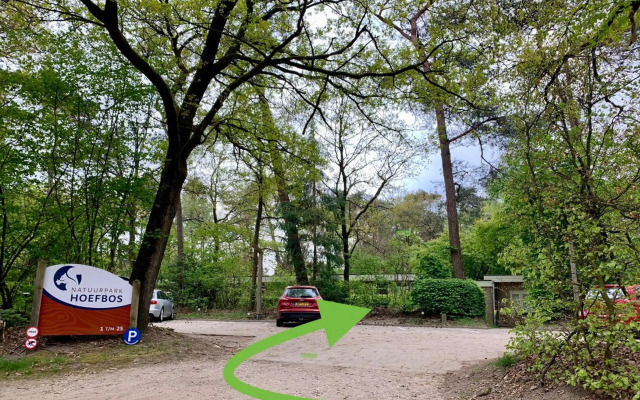 Wilde Moeflon, geniet van de vrije natuur!