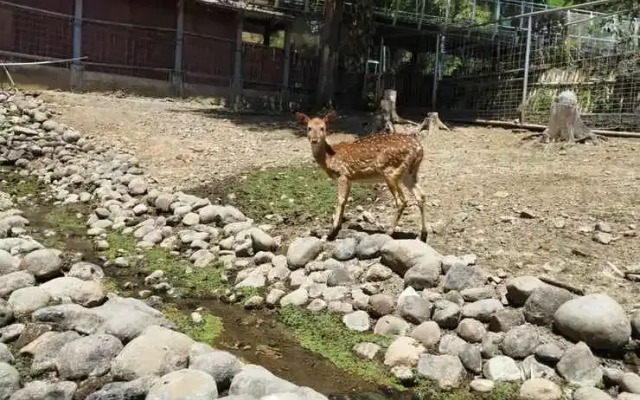 Emaki Al Ma'soem Resort