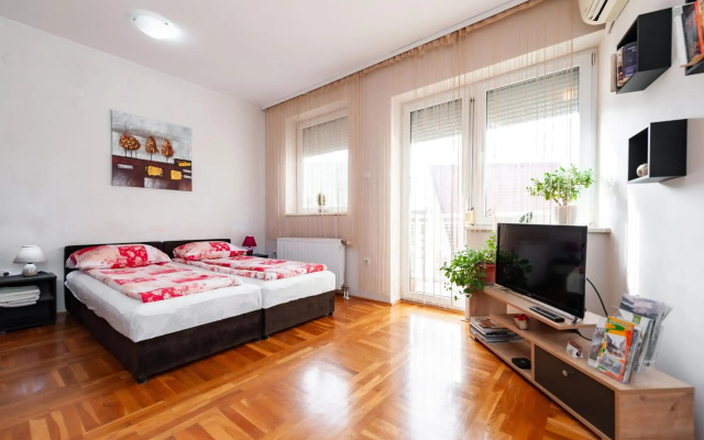 Momo's studio apartment Subotica