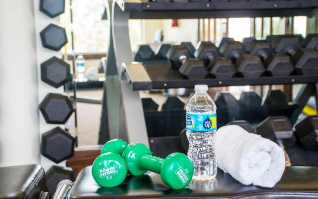 The Vineyard at Florence