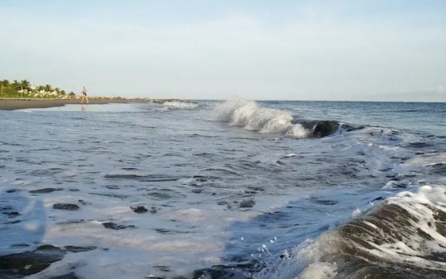 Palmazul - Viña del Mar