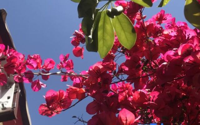 Chun Song Xia Xian Boutique Inn