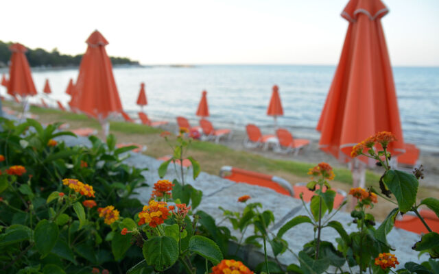 Al Mare Hotel