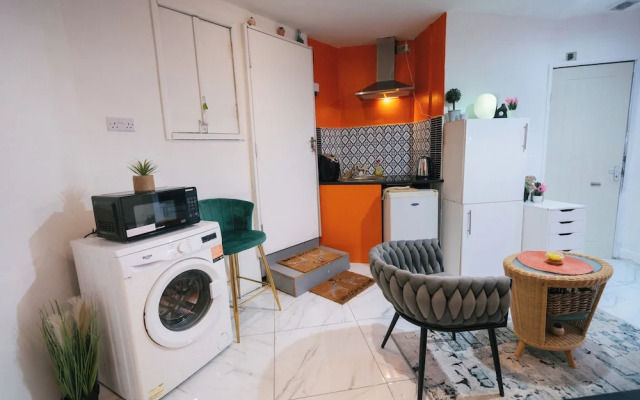Cosy London Apartment Near Baker Street