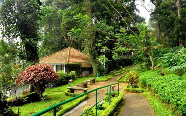 The Tall Trees Munnar