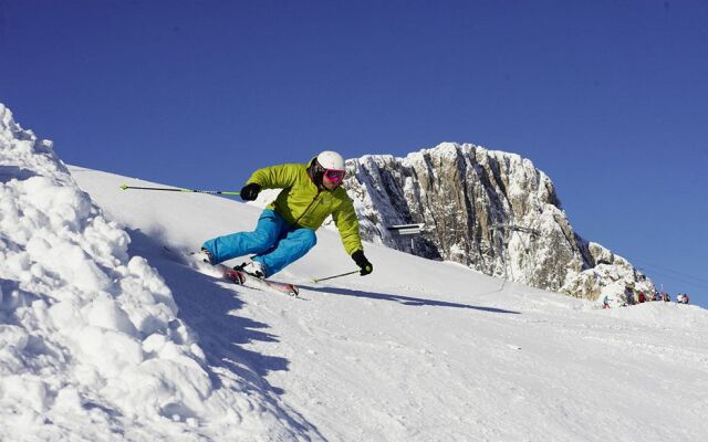 Alm Resort Nassfeld