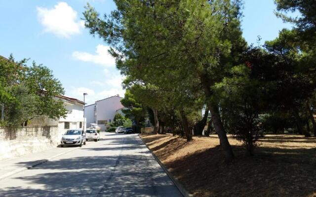Apartments Danka