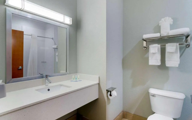 Holiday Inn Express Hotel & Suites Decatur-I-20 East (Panola Rd)