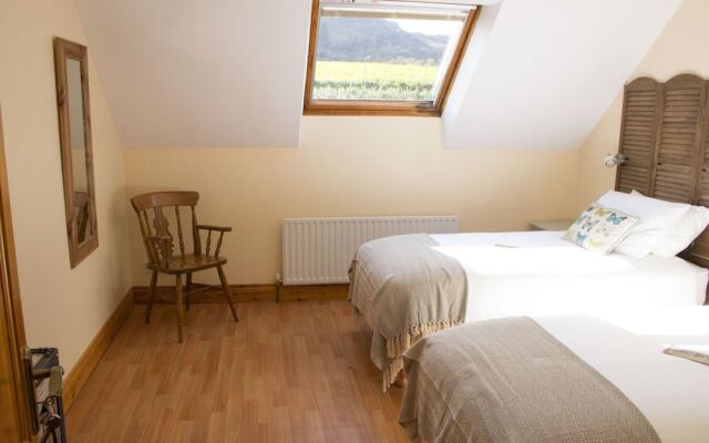 Madra Rua Organic Accommodation
