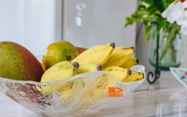 Sítio tranquilo Praia de Guarajuba POND