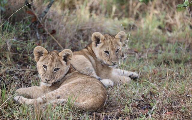 Royal Mara Safari Lodge