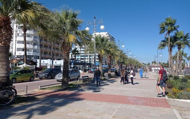 Anamor apartment 408