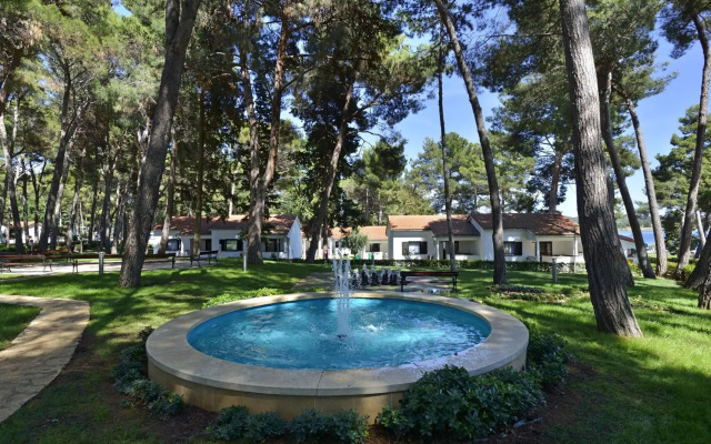 Apartments Galijot Plava Laguna