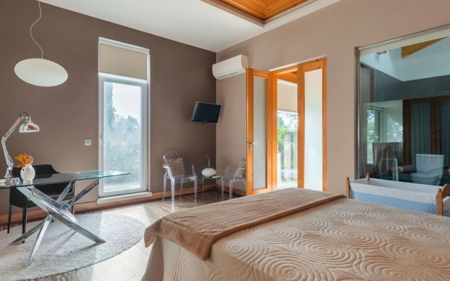 Concei o Cela in Cela