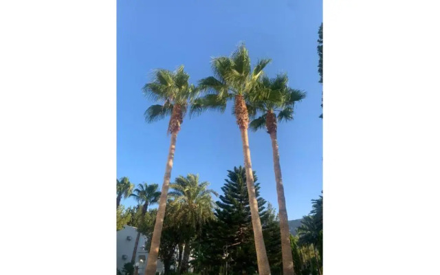 Mountain View Hotel
