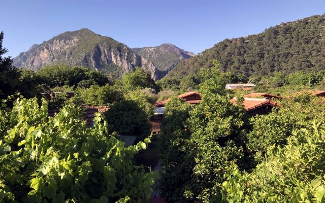 Baris Pension & Bungalows