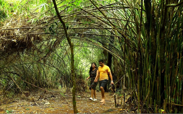 Casa Rio Resort Athirapilly