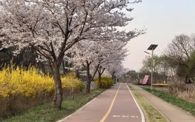 Yangpyeong Cozy