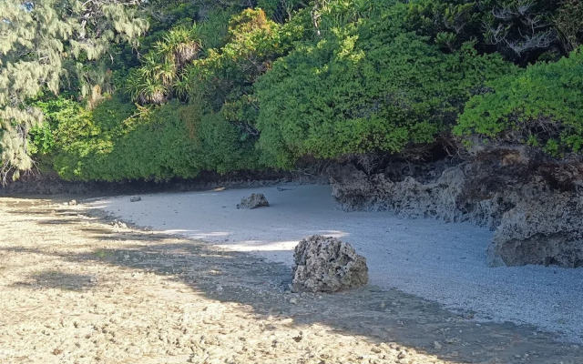 Mahina Lodge