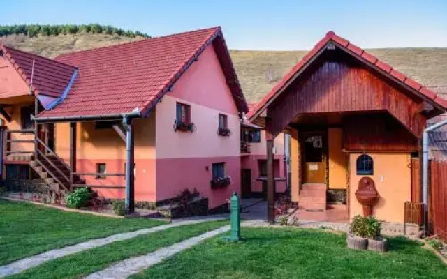 Pensiunea Darian & David