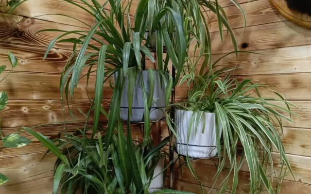 Охотничий дом