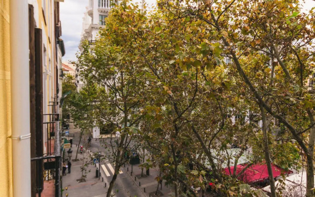 PYR Select Plaza Santa Ana