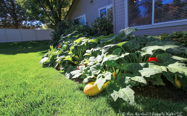 West Boise Family Stunner!