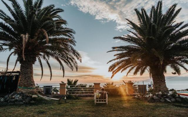 Twin Fin Surf Camp - Hostel