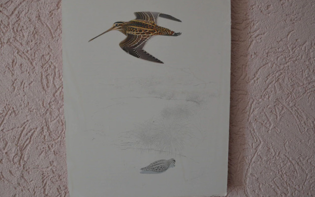 Zum Weissen Rï¿½ssel