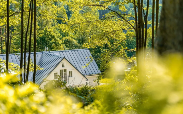 Villa in Bohemia With Sauna