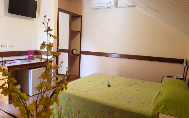 Thermas de Piratuba Park Hotel
