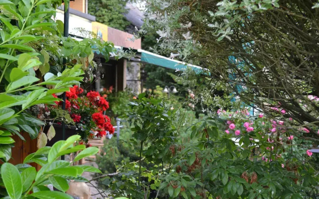 Forest Apartments & Rooms