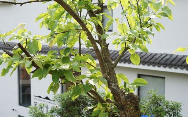 Ruoshanbei Homestay