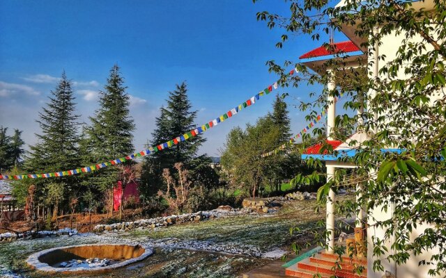 The Bunker Hostel - Dharamkot