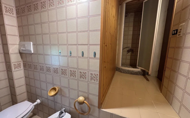 031 Trilocale Mansardato Pinzolo