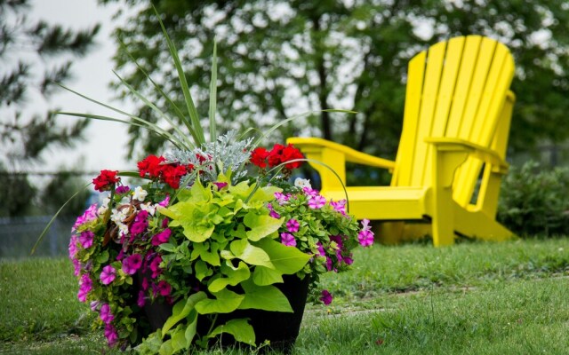 La Maison Mer de Cocagne