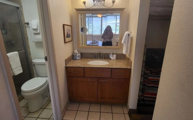 Royal Kahana 220 - 2Br Condo