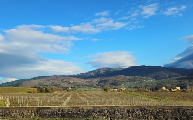 Il Peppolo Country House
