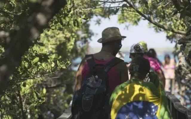 Red Mangrove Cally Lodge All Inclusive Adventure