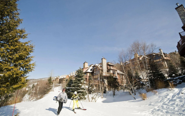 Algonquin - Tremblant Sunstar