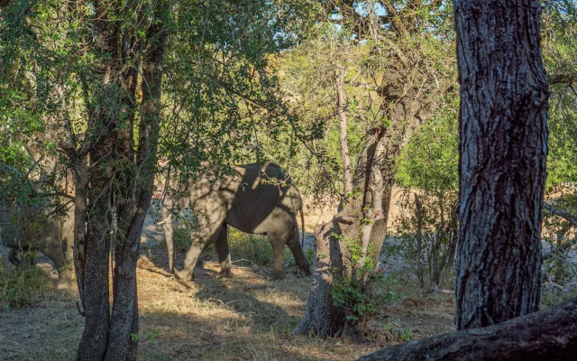 Motswari African Retreat & Walking Safaris by Newmark