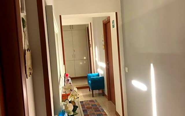 Gracchi278