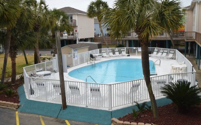 Sand Dollar 14 by RedAwning