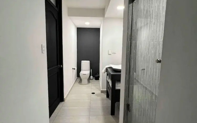 Posh Polanco Apts with Tv and Desk