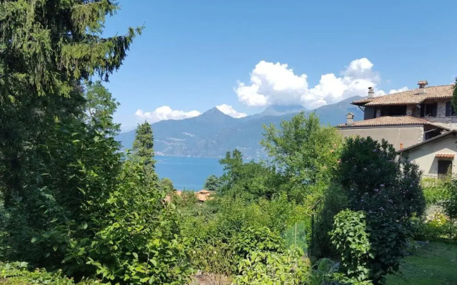 The Ivy House in the Castle